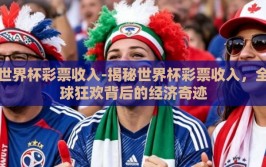 世界杯彩票收入-揭秘世界杯彩票收入，全球狂欢背后的经济奇迹