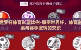 世界杯体育彩票比例-解密世界杯，体育彩票与赛事激情的交织