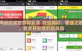 用微信买世界杯彩票-微信购彩，便捷之选，世界杯彩票的新风尚