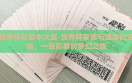 世界杯彩票中大奖-世界杯梦想与现实的交响，一张彩票的梦幻之旅
