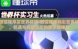 微信程序买世界杯球-微信程序购彩世界杯，机遇与风险交织的数字新体验