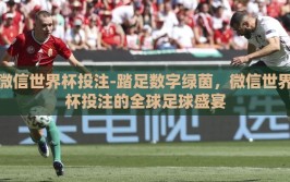 微信世界杯投注-踏足数字绿茵，微信世界杯投注的全球足球盛宴