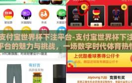支付宝世界杯下注平台-支付宝世界杯下注平台的魅力与挑战，一场数字时代体育热情的革命