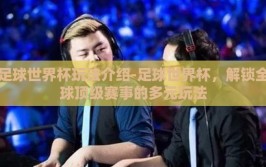 足球世界杯玩法介绍-足球世界杯，解锁全球顶级赛事的多元玩法