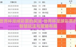 世界杯足球彩票的买法-世界杯足球彩票的智慧玩法与策略布局