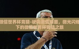 微信世界杯竞猜-驶向激情绿茵，微光闪烁下的微信世界杯竞猜之旅