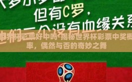 世界杯彩票好中吗-揭秘世界杯彩票中奖概率，偶然与否的奇妙之舞