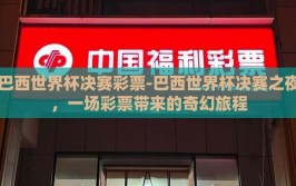 巴西世界杯决赛彩票-巴西世界杯决赛之夜，一场彩票带来的奇幻旅程