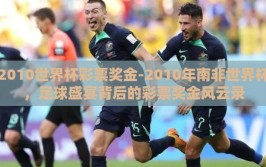 2010世界杯彩票奖金-2010年南非世界杯，足球盛宴背后的彩票奖金风云录