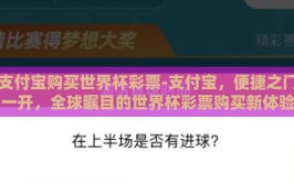 支付宝购买世界杯彩票-支付宝，便捷之门一开，全球瞩目的世界杯彩票购买新体验