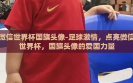 微信世界杯国旗头像-足球激情，点亮微信世界杯，国旗头像的爱国力量