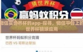 微信买世界杯的app-探寻，微信平台上的世界杯猜球应用