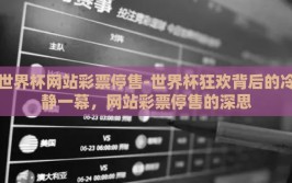 世界杯网站彩票停售-世界杯狂欢背后的冷静一幕，网站彩票停售的深思