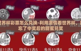 世界杯彩票怎么兑换-利用激情看世界杯，别忘了中奖后的甜蜜兑奖