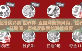 直播买彩票 世界杯-直播购票新风尚，世界杯期间，直播买彩票的激情盛宴