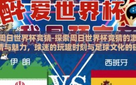 周日世界杯竞猜-探索周日世界杯竞猜的激情与魅力，球迷的玩趣时刻与足球文化的碰撞