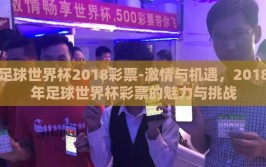 足球世界杯2018彩票-激情与机遇，2018年足球世界杯彩票的魅力与挑战