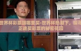 世界杯彩票跟哪里买-世界杯热潮下，探寻正途买彩票的秘密花园