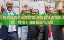 世界杯球赛怎么买彩票-世界杯球赛购彩指南，精准下注的智慧与乐趣