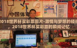 2018世界杯买彩票图片-激情与梦想的碰撞，2018世界杯买彩票的瞬间记忆