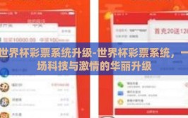 世界杯彩票系统升级-世界杯彩票系统，一场科技与激情的华丽升级
