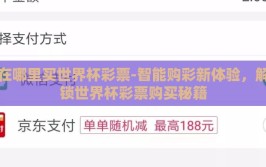 在哪里买世界杯彩票-智能购彩新体验，解锁世界杯彩票购买秘籍