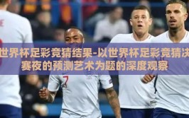 世界杯足彩竞猜结果-以世界杯足彩竞猜决赛夜的预测艺术为题的深度观察