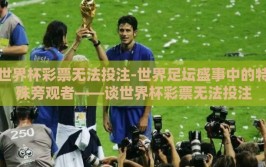 世界杯彩票无法投注-世界足坛盛事中的特殊旁观者——谈世界杯彩票无法投注