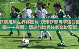 彩票足球世界杯图片-快乐梦想与幸运的碰撞——彩票、足球与世界杯的奇妙图谱