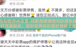 足彩世界杯彩票-探索足球激情与彩票乐趣的完美融合，足彩世界杯彩票的奇妙之旅