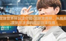 足球世界杯玩法介绍-足球世界杯，从揭幕战到总决赛的精彩玩法指南