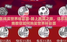 怎样买世界杯彩票-踏上胜算之旅，详尽指南教你如何购买世界杯彩票