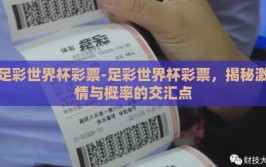 足彩世界杯彩票-足彩世界杯彩票，揭秘激情与概率的交汇点
