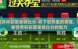 世界杯彩票单场比分-杯下世界里的奇缘，揭秘世界杯彩票单场比分的魅力