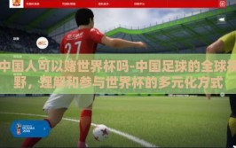 中国人可以赌世界杯吗-中国足球的全球视野，理解和参与世界杯的多元化方式