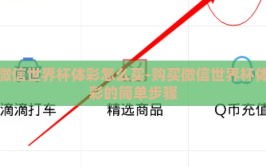 微信世界杯体彩怎么买-购买微信世界杯体彩的简单步骤