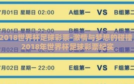 2018世界杯足球彩票-激情与梦想的碰撞，2018年世界杯足球彩票纪实