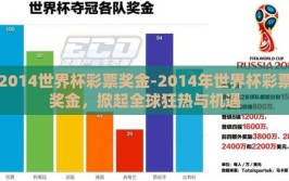 2014世界杯彩票奖金-2014年世界杯彩票奖金，掀起全球狂热与机遇