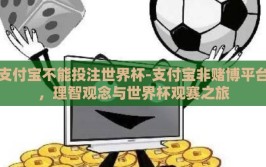 支付宝不能投注世界杯-支付宝非赌博平台，理智观念与世界杯观赛之旅