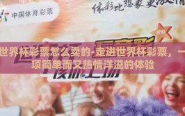 世界杯彩票怎么卖的-走进世界杯彩票，一项简单而又热情洋溢的体验