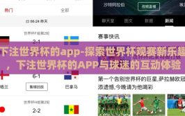 下注世界杯的app-探索世界杯观赛新乐趣，下注世界杯的APP与球迷的互动体验