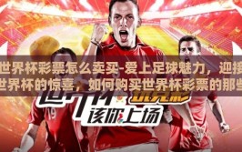 世界杯彩票怎么卖买-爱上足球魅力，迎接世界杯的惊喜，如何购买世界杯彩票的那些事儿
