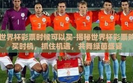 世界杯彩票时候可以买-揭秘世界杯彩票购买时机，抓住机遇，共舞绿茵盛宴