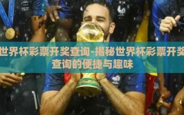 世界杯彩票开奖查询-揭秘世界杯彩票开奖查询的便捷与趣味