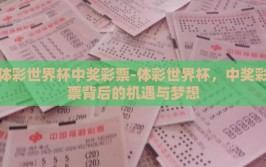 体彩世界杯中奖彩票-体彩世界杯，中奖彩票背后的机遇与梦想