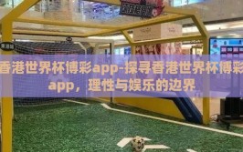 香港世界杯博彩app-探寻香港世界杯博彩app，理性与娱乐的边界