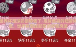世界杯足球彩票停售了-足球盛宴的短暂休章，世界杯足球彩票的停售风波