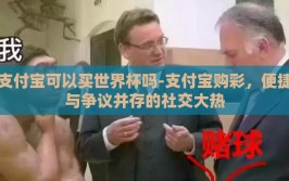 支付宝可以买世界杯吗-支付宝购彩，便捷与争议并存的社交大热