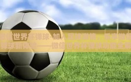 微信世界杯弹球-加入足球激情，乐享微信弹球新体验——微信世界杯弹球功能全解