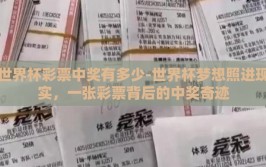 世界杯彩票中奖有多少-世界杯梦想照进现实，一张彩票背后的中奖奇迹